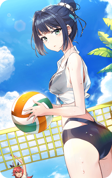 Artifact-Official Levulin Beach Volleyball
